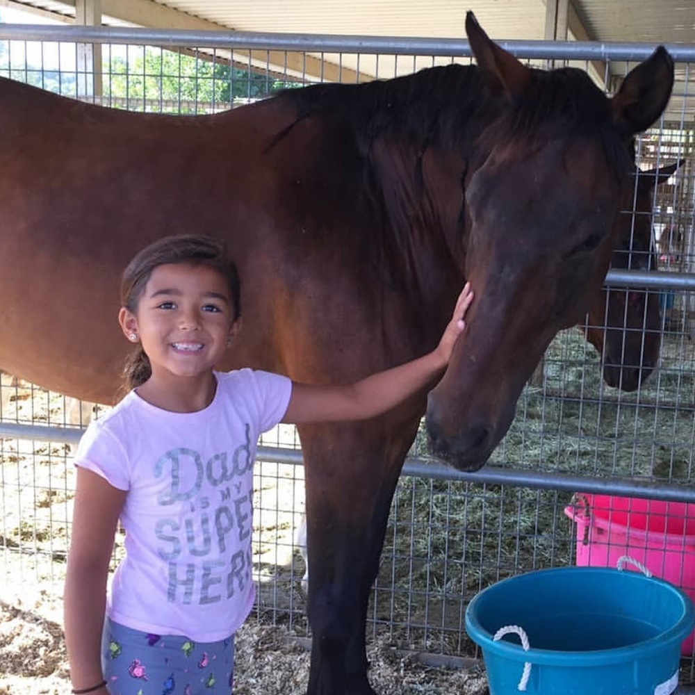 Meet your Posher, Taylor